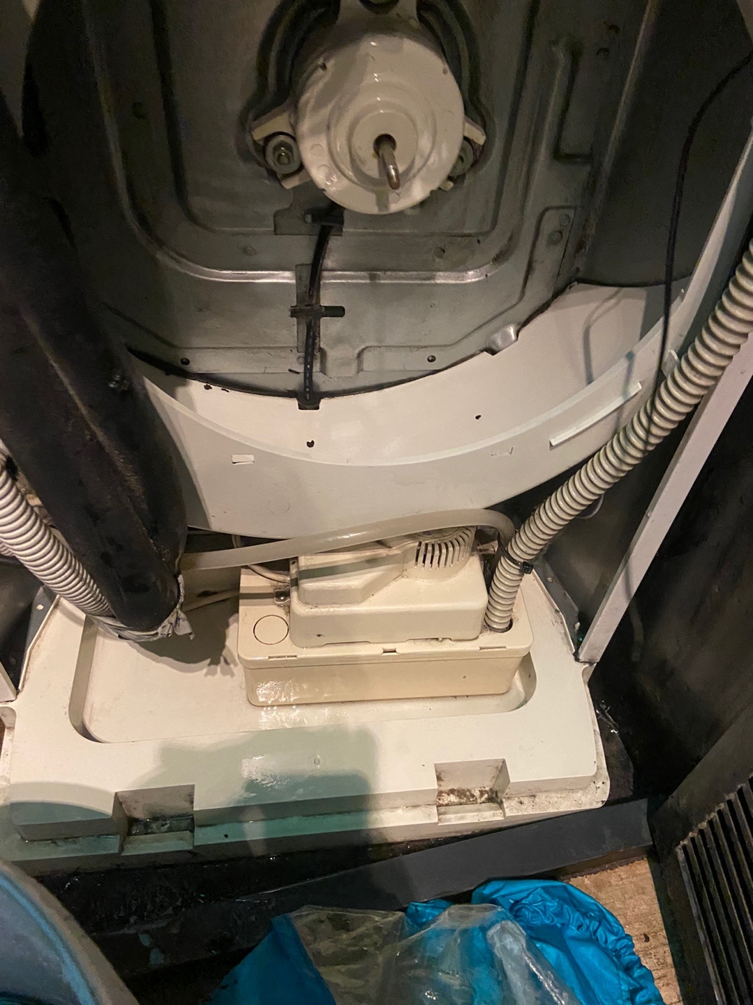 a8b79078dd1522ccbb9001acb0798f2b_1625108558_3404.jpg